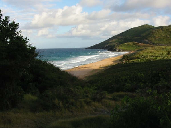 /i//St_Kitts_beach.JPG