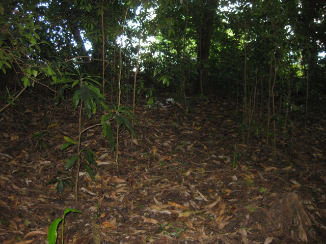 /i/Morne_Daniel_102_acre_1.JPG