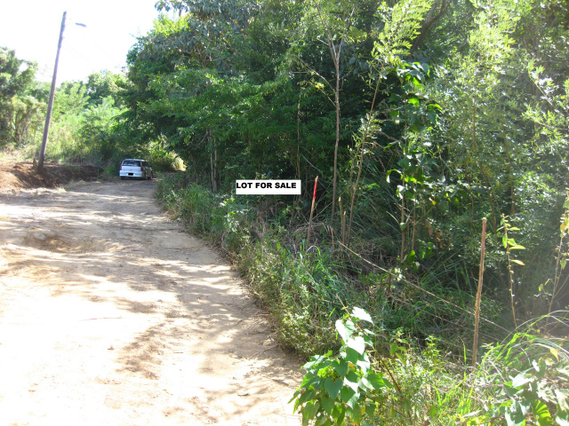 /i/Morne_Daniel_102_acre_6.jpg