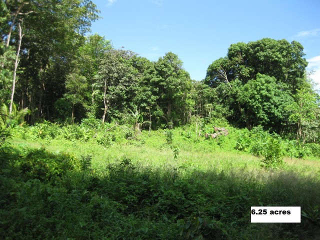 Layou: 6.25 acre lot bounding river "SORRY, SOLD"